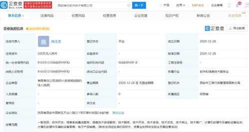 信息系統(tǒng)集成服務(wù) 連接技術(shù)橋梁，驅(qū)動(dòng)業(yè)務(wù)創(chuàng)新